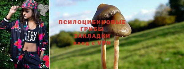 молекула духа Алзамай