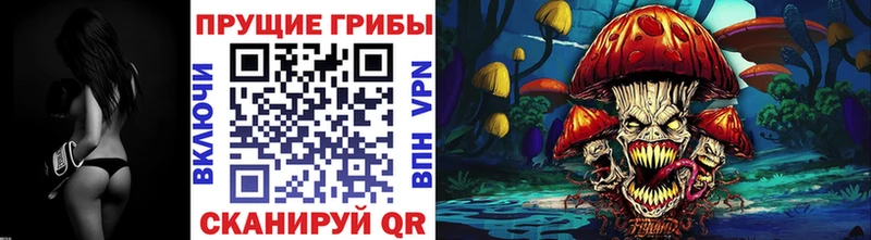 блэк спрут ссылка  Протвино  Псилоцибиновые грибы Psilocybe 