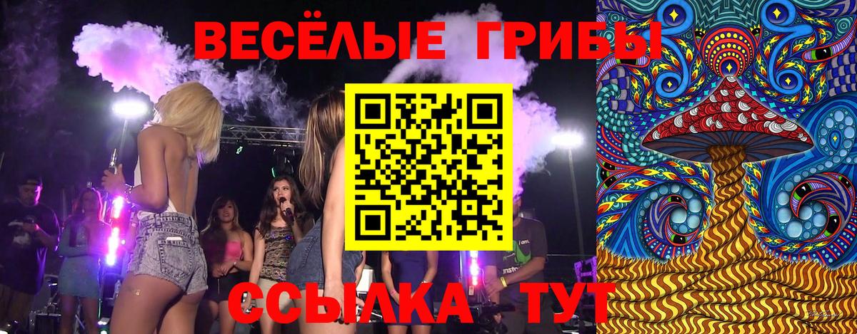 Галлюциногенные грибы мухоморы Протвино